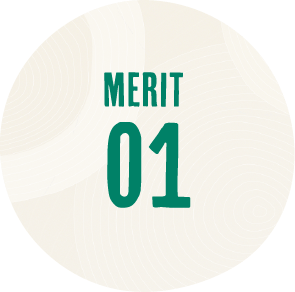 MERIT 01