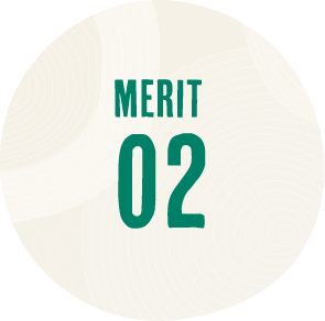 MERIT 02