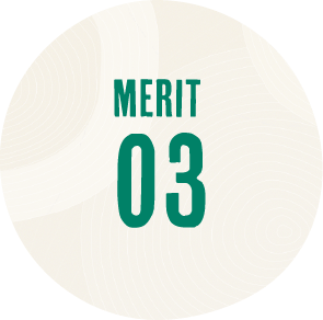 MERIT 03