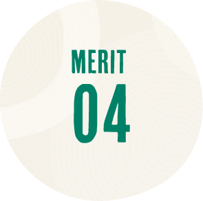 MERIT 04